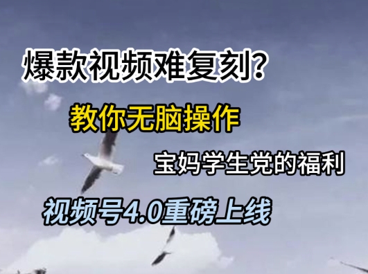 视频号4.0重磅上线，爆款视频难复刻？教你无脑操作宝妈学生党的福利【揭秘】-鱼丸网创