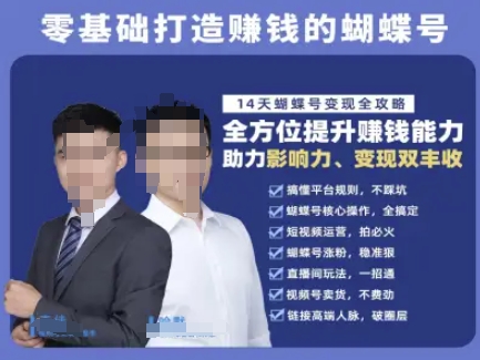 蝴蝶号专栏-视频号运营教程，零基础打造挣钱的蝴蝶号，14天蝴蝶号变现全攻略-鱼丸网创