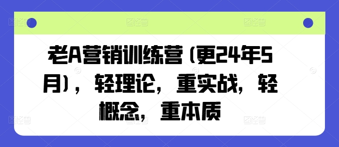 老A营销训练营(更25年6月)，轻理论，重实战，轻概念，重本质-鱼丸网创