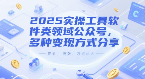 2025实操工具软件类领域公众号，多种变现方式分享-鱼丸网创