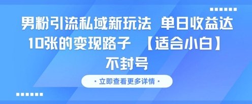 男粉引流私域新玩法，单日收益达10张的变现路子 【适合小白】不封号-鱼丸网创