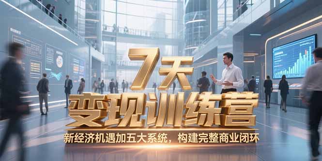 7天咨询师变现训练营，新经济机遇加五大系统，构建完整商业闭环-鱼丸网创