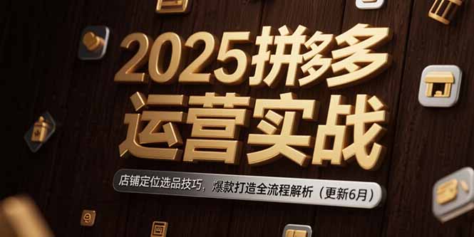 2025拼多多运营实战：店铺定位选品技巧，爆款打造全流程解析(更新6月-鱼丸网创