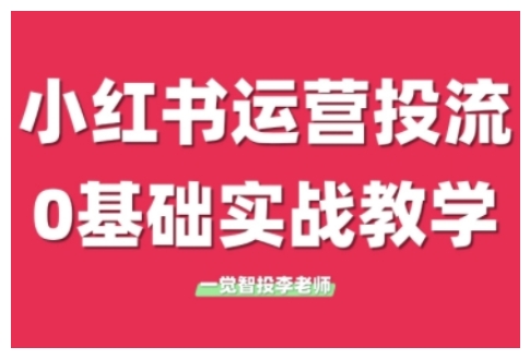 小红书运营投流，小红书广告投放从0到1的实战课，学完即可开始投放(更新)-鱼丸网创