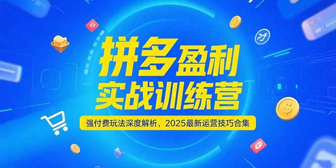 拼多多盈利实战训练营，强付费玩法深度解析，2025运营技巧合集-更新6月-鱼丸网创