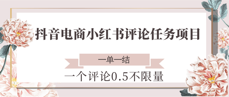 抖音电商小红书评论任务项目，一个评论0.5，一单一结 不限量-鱼丸网创