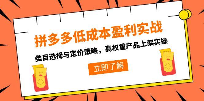 拼多多低成本盈利实战，类目选择与定价策略，高权重产品上架实操-鱼丸网创