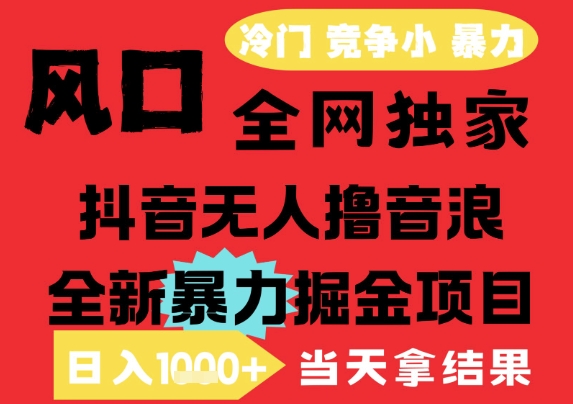 25年6月高爆抖音无人直播最新撸音浪掘金项目，解放双手小白可做，无脑日入1k+，门槛低【揭秘】-鱼丸网创