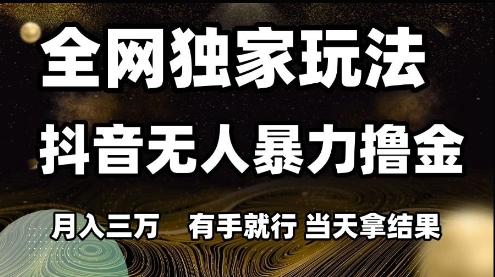 全网独家玩法抖音无人暴力撸金，月入3W，有手就行，当天拿结果【揭秘】-鱼丸网创