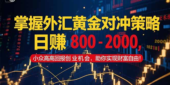 掌握外汇黄金对冲策略，日赚 800 – 2000，小众高回报创业机会，助你实…-鱼丸网创