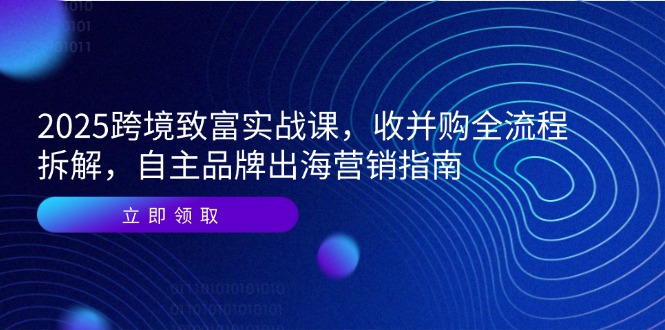 2025跨境致富实战课，收并购全流程拆解，自主品牌出海营销指南-鱼丸网创