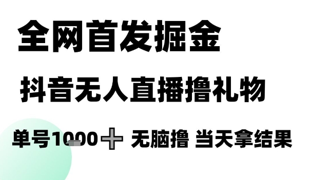 全网首发掘金抖音无人直播撸礼物，单号1k +无脑撸，当天拿结果【揭秘】-鱼丸网创