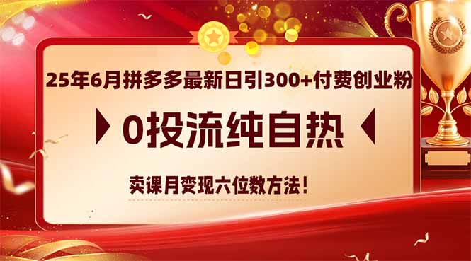 25年6月拼多多最新日引300+付费创业粉，0投流纯自热 卖课月变现六位数方法-鱼丸网创