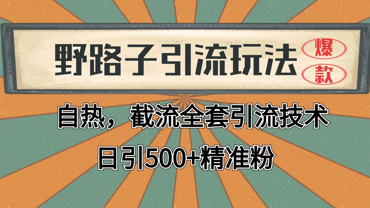 2024首发野路子引流玩法截流自热全平台打法，全自动引流【日引2000+精准客户】-鱼丸网创