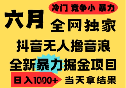 25年6月高爆抖音无人直播最新撸音浪掘金项目，小白可做，无脑日入1k+，门槛低可批量矩阵【揭秘】-鱼丸网创