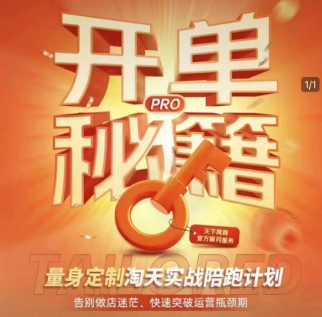 淘宝开单秘籍PRO，量身定制淘天实战陪跑计划，告别做店迷茫、快速突破运营瓶颈期(更新6月)-鱼丸网创