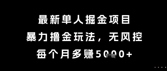最新单人掘金项目，暴力撸金玩法，无风控，每个月多挣5k+【揭秘】-鱼丸网创