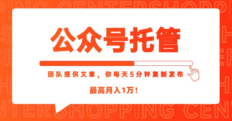 【公众号托管 】我提供文章，你每天５分钟复制发布，最高月入1W-鱼丸网创