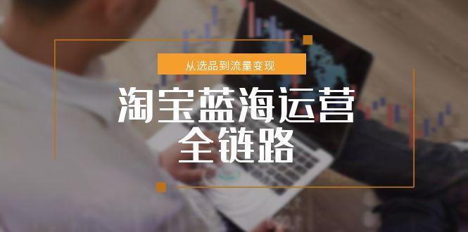 淘宝蓝海运营全链路，从选品到流量变现，小类目突围完整方案-鱼丸网创