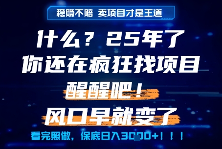 什么？25年你还在疯狂找项目做，醒醒吧，看完这些你全都懂了！【揭秘】-鱼丸网创