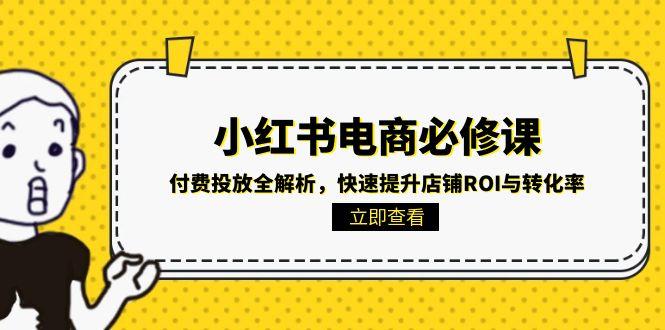 小红书电商必修课：付费投放全解析，快速提升店铺ROI与转化率-鱼丸网创